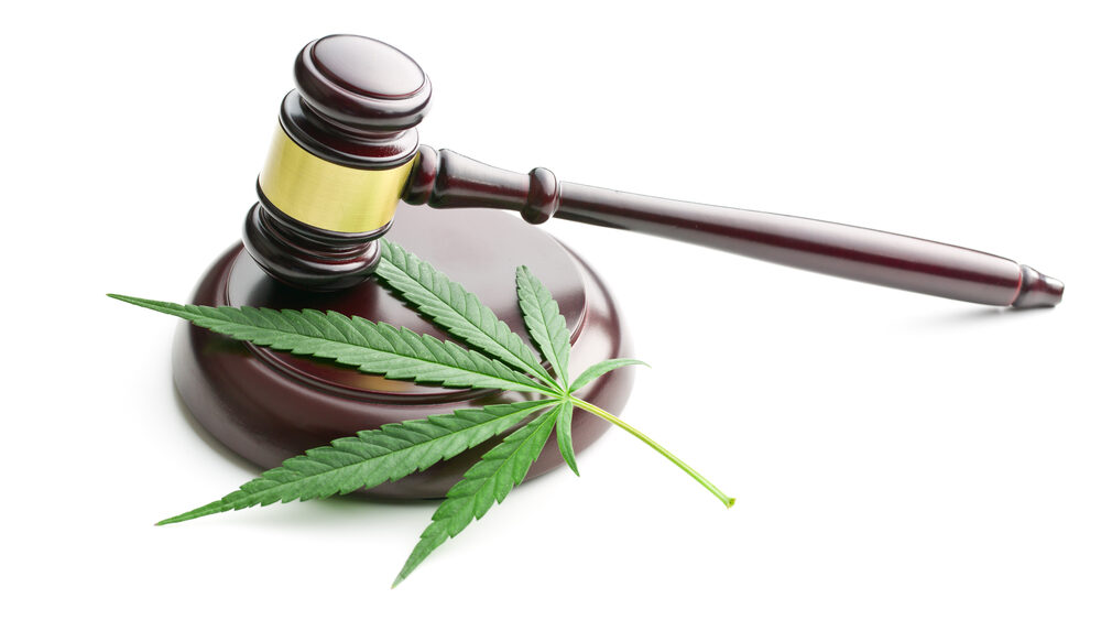 Marijuana Legalization and Drug Laws Navigating a Changing Landscape